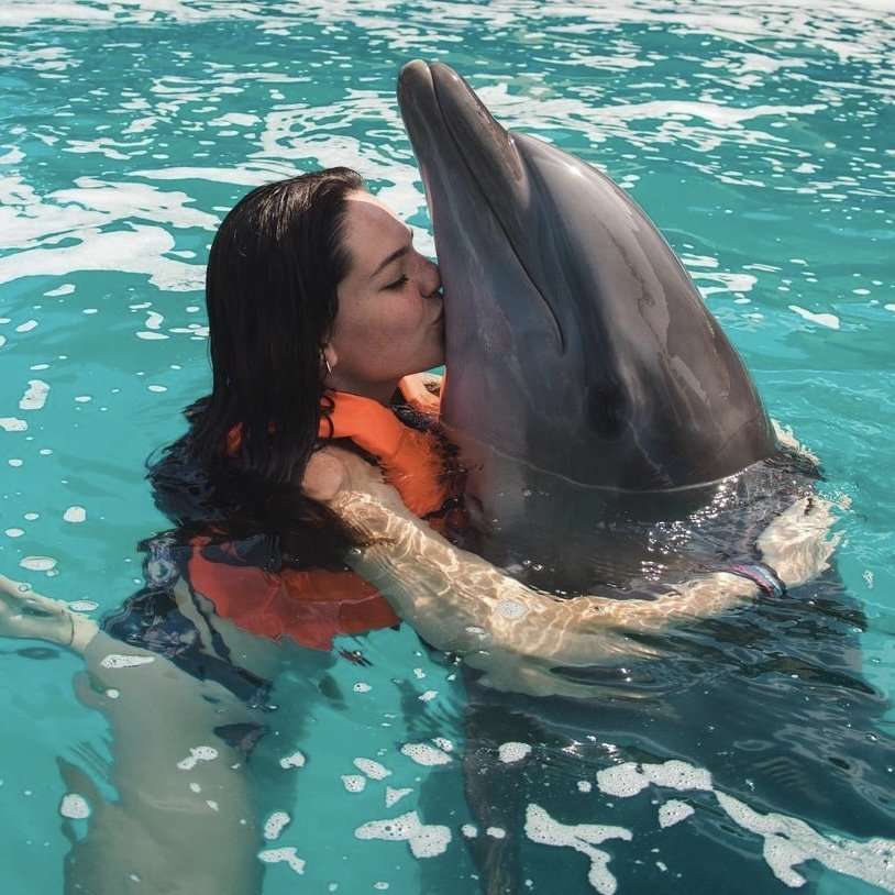 Swimming with Dolphins