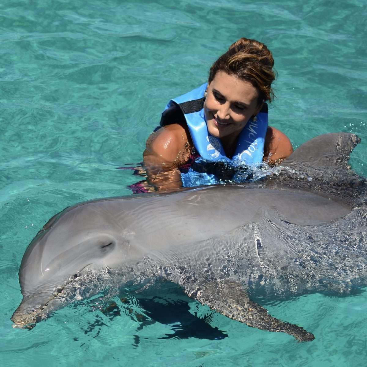 Dolphins Experience